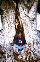 Meditation 5 im Baum